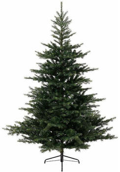 Everlands Grandis 300cm (681454)