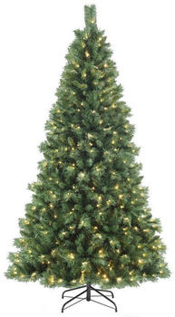 Salcar Tannenbaum 450 LEDs 240cm (XT26)
