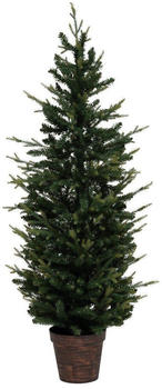 Feeric Lights & Christmas Weihnachtsbaum im Topf 150cm