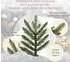 Pure Living Premium Weihnachtsbaum künstlich 220cm