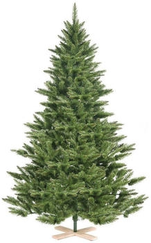 Salcar Nordmanntanne 180cm (XT80)