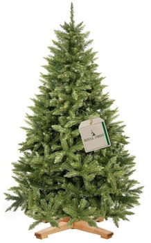 Springos Kaukasus-Fichte 180cm (CT0186)