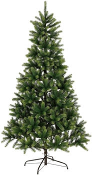 Black Box Trees Nagoya 210cm (1149880)