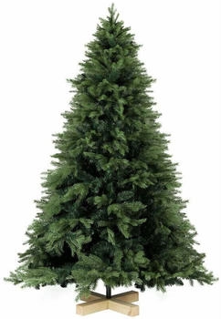Salcar Nordmanntanne 210cm (902120)