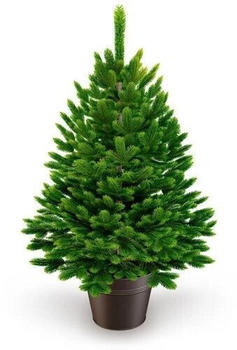 ArtiTree Premium Tanne 60cm (ATCT23-02)