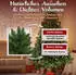 VESKA Künstlicher Weihnachtsbaum grün 180 cm mit Holzständer Nordmanntanne Optik