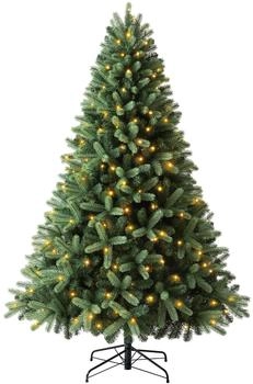 Dehner Stellan 210cm mit LEDs