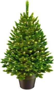 ArtiTree Künstlicher Weihnachtsbaum Nordfichte im Topf mit Led Größe 80 cm