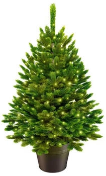 ArtiTree Künstlicher Weihnachtsbaum Nordfichte LED im Topf LED 60 cm