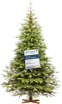 FairyTrees Weihnachtsbaum künstlich Nordmanntanne Exklusiv 100% PE Holzständer 250 cm
