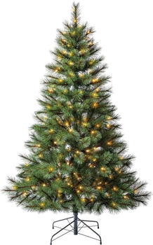 Dehner Künstlicher Weihnachtsbaum Tanne Ivar mit 200 LED/Ständer hochwertiger H 180 cm Ø 112 cm