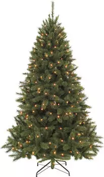 Triumph Tree Bristlecone Künstlicher Weihnachtsbaum mit LED-Lichtern 185cm dunkelgrün