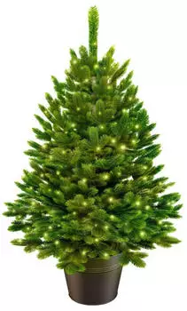 ArtiTree Künstliche Nordfichte im Topf mit LED - klein, 40 cm