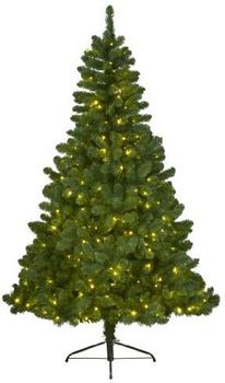 Kaemingk Imperial Pine LED bel. Innen 210 cm-380 L grün (678252)