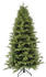 Triumph Tree Harrison maat 155cm grün