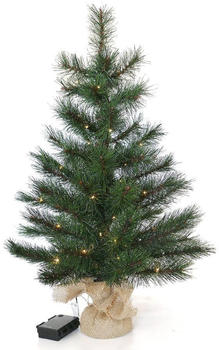 Gartenpirat Weihnachtsbaum Tanne 60cm
