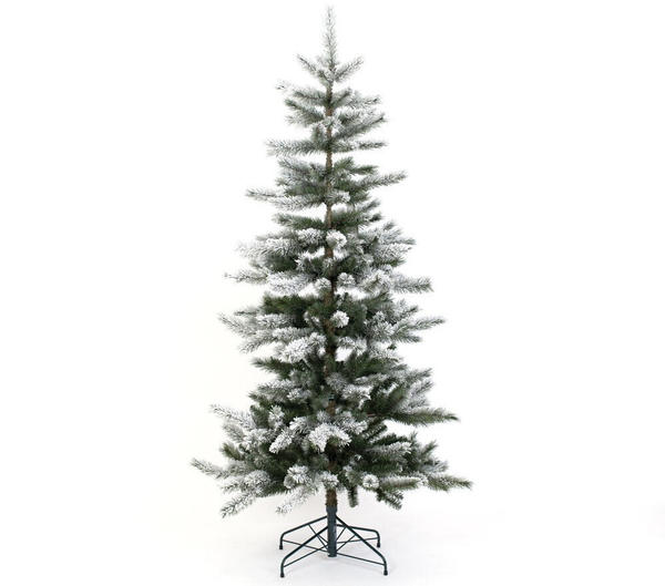 Evergreen Snowy Cedar 180cm ( PGT02590007)