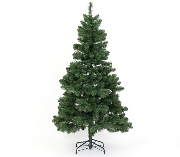 Evergreen Oxford Kiefer 210cm (PGTG70GH302X08)