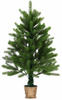 Weihnachtsbäume bis 100 cm