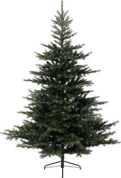 Everlands Grandis Fir 210cm grün (681452)