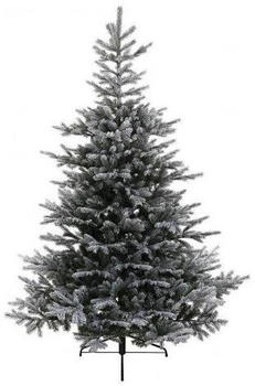 Amicasa Grandis with snow 180 cm (9689761)