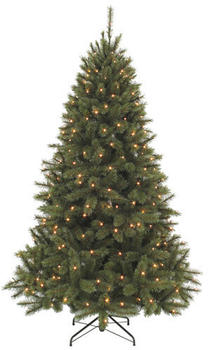 Dehner Bristlecone 215cm mit LED-Beleuchtung (3031440)