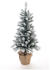 Evergreen Stoves Weihnachtsbaum Kiefer 90cm (PGTV30M2Y10L00)