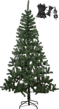 Star Trading Christmas Tree w LED Alvik 210cm (609-25)