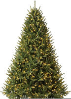Evergreen - K&uuml;nstlicher Weihnachtsbaum Richmond Tanne Inkl. Leds Gr&uuml;n 228 Cm