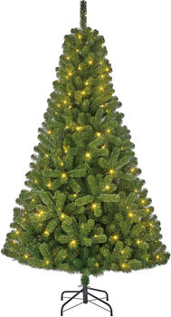 Black Box Trees Charlton Weihnachtsbaum LED 185cm grün