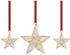 Swarovski Annual Edition Ornament Set 2023 (5649780)
