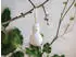 Villeroy & Boch like. by Villeroy & Boch Winter Glow Ornament Schneemann 4,5cm (1486714347)