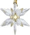 Swarovski Annual Edition 3D Ornament 2025 OS