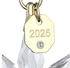 Swarovski Annual Edition 3D Ornament 2025 OS