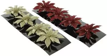 Kaemingk Weihnachtsblume Poinsettia 8 cm verschiedene Farben
