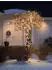 Konstsmide LED-Lichterkette 800 Micro-LED bernsteinfarben klassisch warmweiß 55,93 m