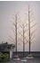 Star Trading LED-Dekobaum Tobby Tree IP44 braun Höhe 150cm