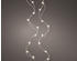 Lumineo LED String Lights 40 LED 1,95 m warmweiß (0660143613)