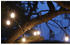 ChiliTec LED Aussen Lichterkette 14m lang 15 LED Lampen IP44 Biergarten Terrasse Balkon Party Hochzeit Kabel Schwarz I Licht Warmweiß