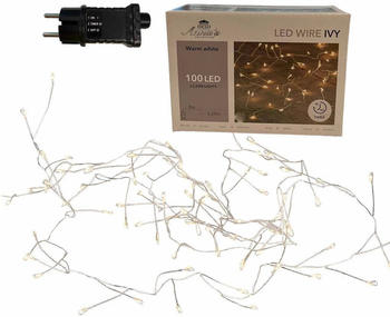 Coen Bakker Lichterkette Cluster Draht silber 2,25m 100 LED Timer außen warmweiß