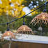 Lumisky Lichterkette 6m HAWAII LIGHT CONNECTABLE