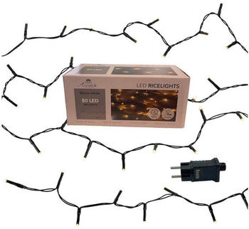 Coen Bakker Lichterkette für außen schwarz 3,95m 80 LED Dimmer Timer warmweiß
