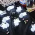 Star Trading Lichterkette Halloween (728-81)