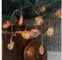 Star Trading Lichterkette Neartz - LED - 10 Lichtquellen - 90cm (726-81)