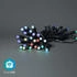 Nedis SmartLife Dekorative LED | Party-Lichter | Wi-Fi | RGB | 48 LED's | 10.80 m | Android™ / IOS