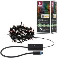Paulmann LED-Lichterkette "Yuna IP44 Schwarz" 1 Stk.-flammig dimmbar