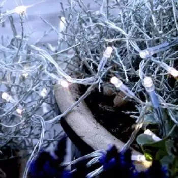 Star LED 160er 16m cool white / transparent Best Season 499-38