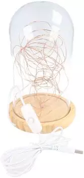 Goobay Glasglocke mit LED-Micro-Lichterkette, Holzsockel, USB, beige-transparent (60340)