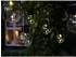 Luxform Menorca Solar-Lichterkette 10x LED, Kunststoff (95114)