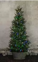EGLO LED-Lichterkette "SERIE LED - Weihnachtsdeko - Beleuchtung - Winterdeko"...